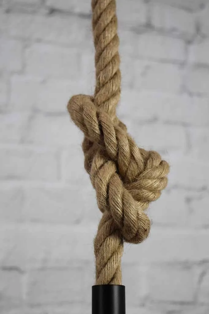 Barn Rope Swing Pendant Light