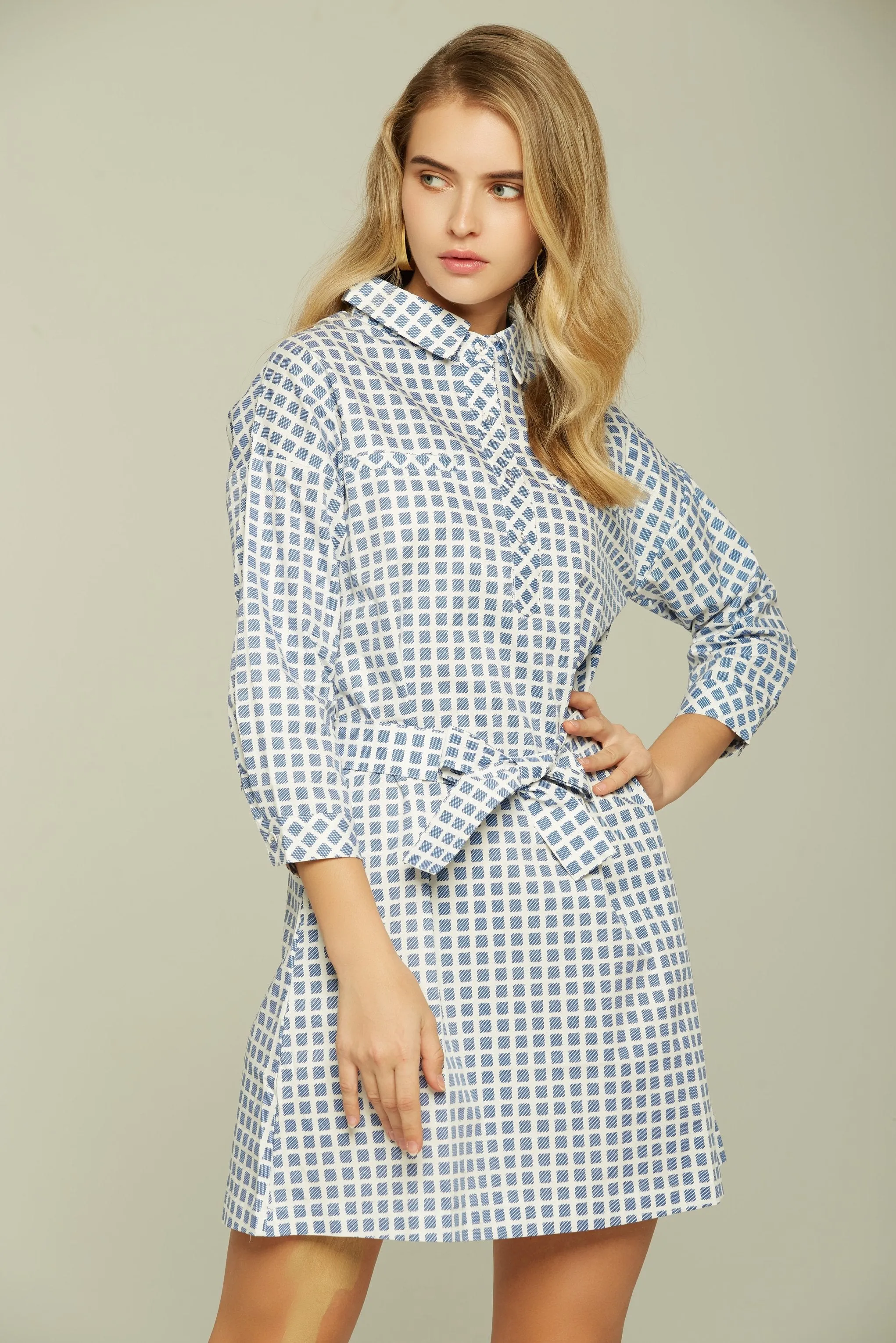 Blue and White Check Button-up Dress