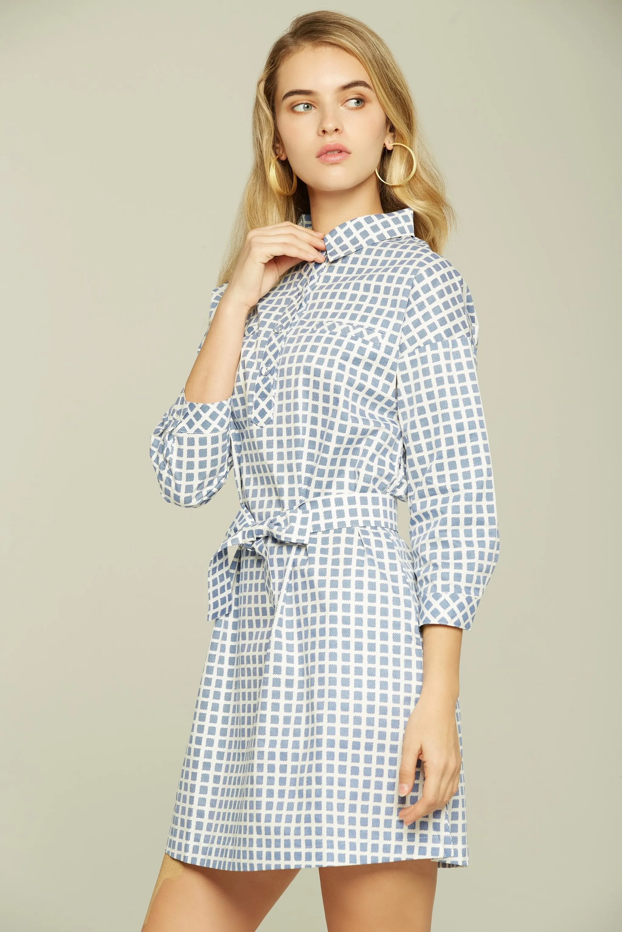 Blue and White Check Button-up Dress
