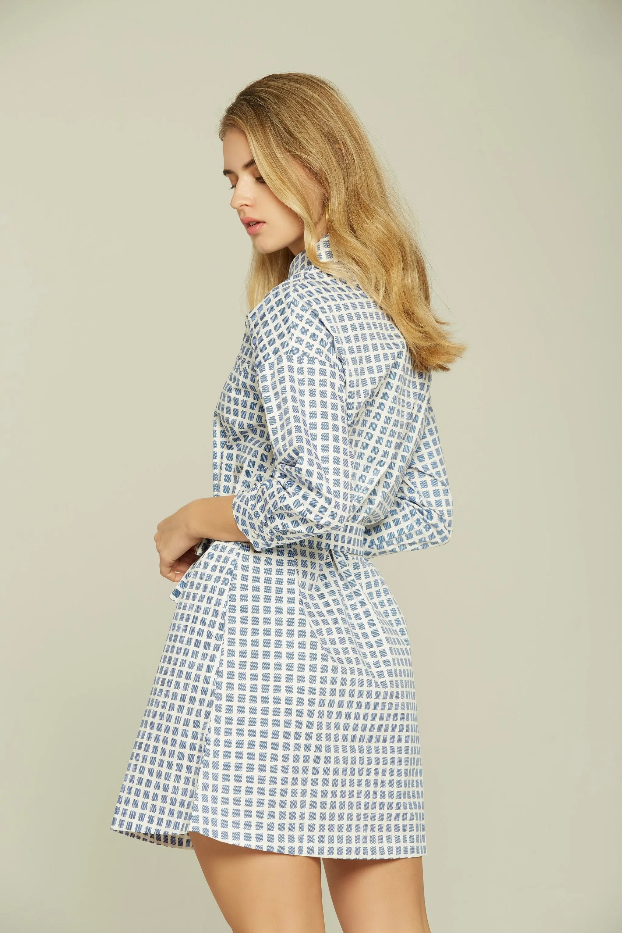 Blue and White Check Button-up Dress