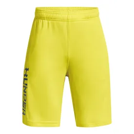 Boys' Under Armour Youth Prototype 2.0 Wordmark Short