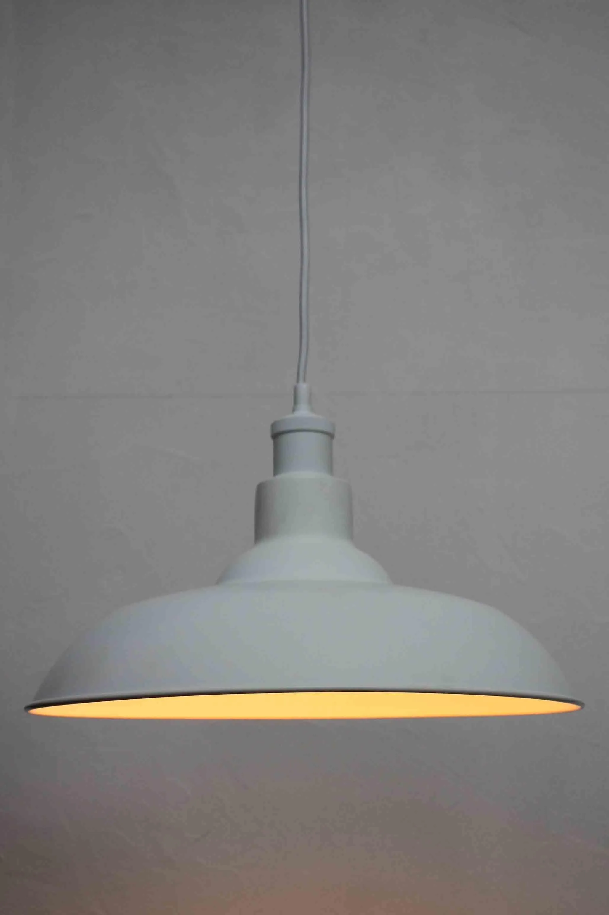Bullpit Pendant Light