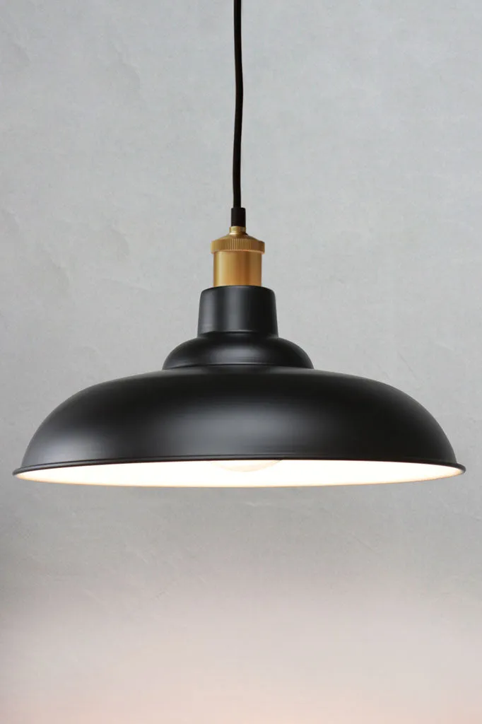 Bullpit Pendant Light