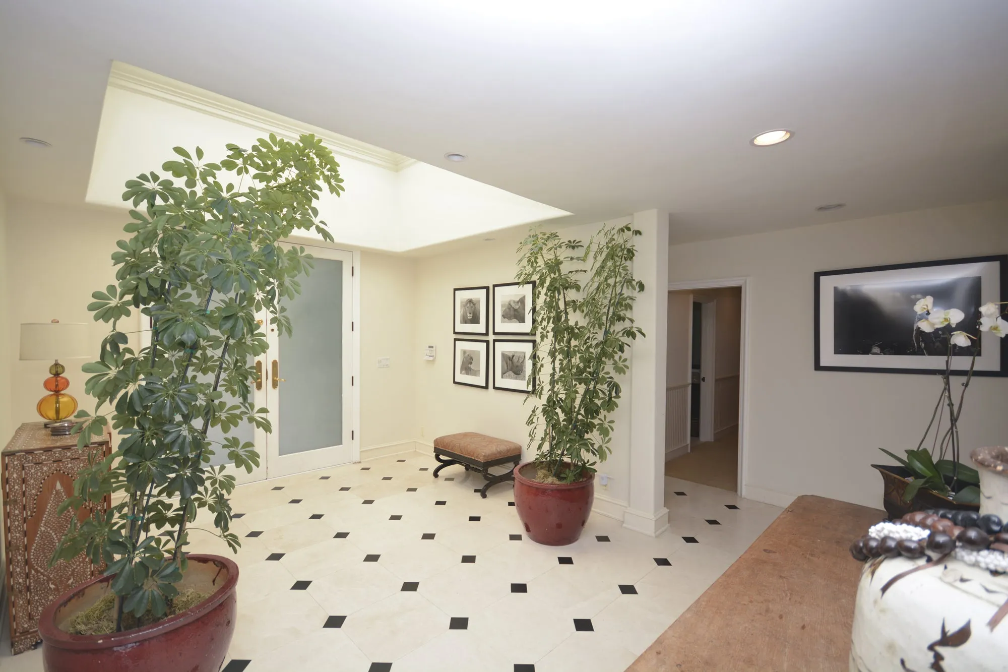 Contemporary Modern - MO2048