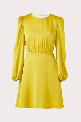 Elma Stretch Silk Dress