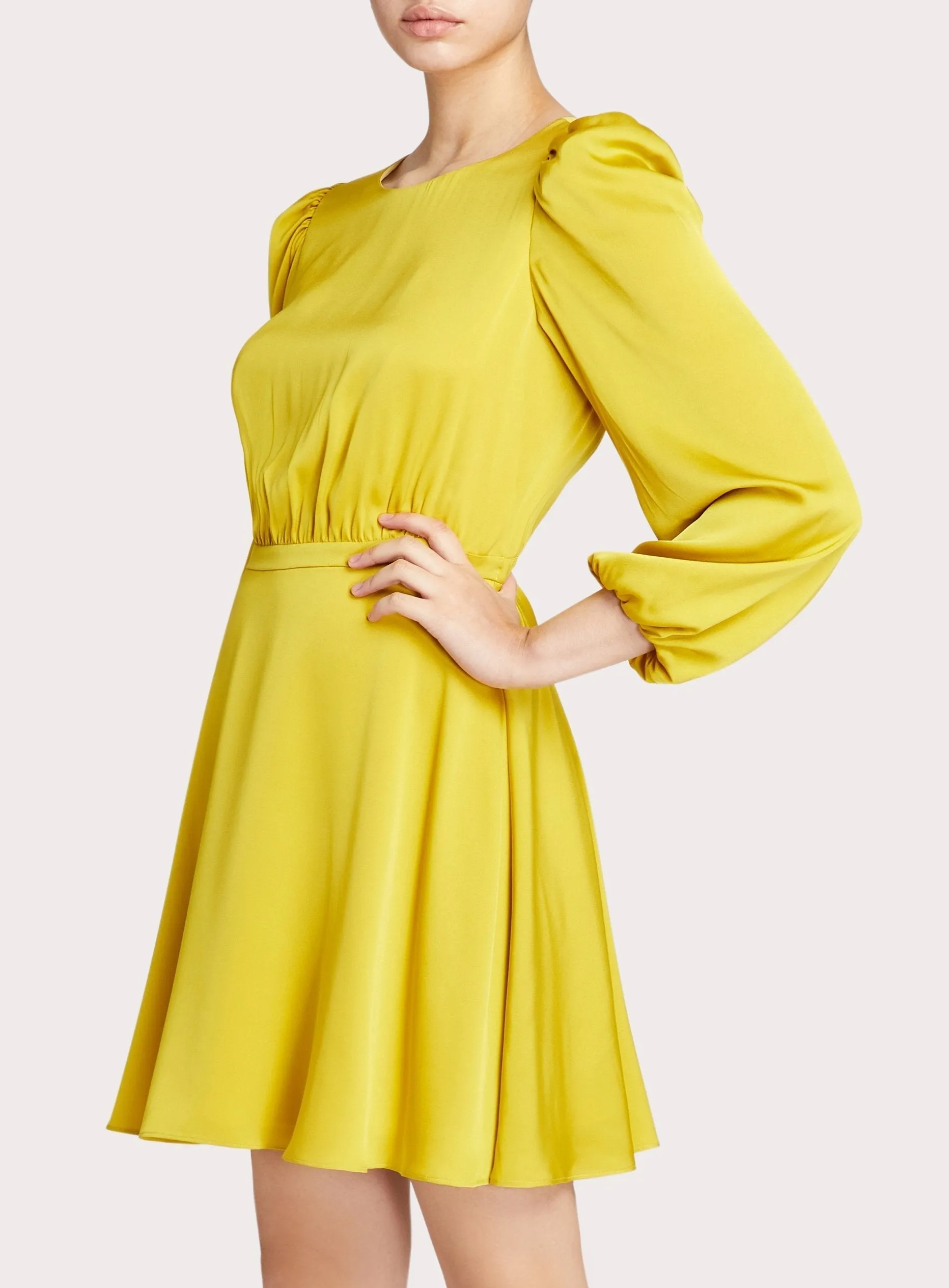 Elma Stretch Silk Dress