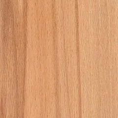 Gingered Beech Northern Timbers