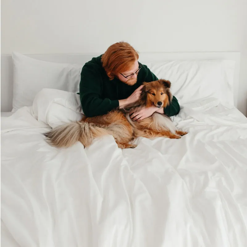 Sateen Dream™ Pillowcases