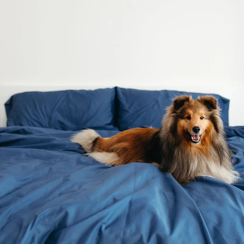 Sateen Dream™ Pillowcases