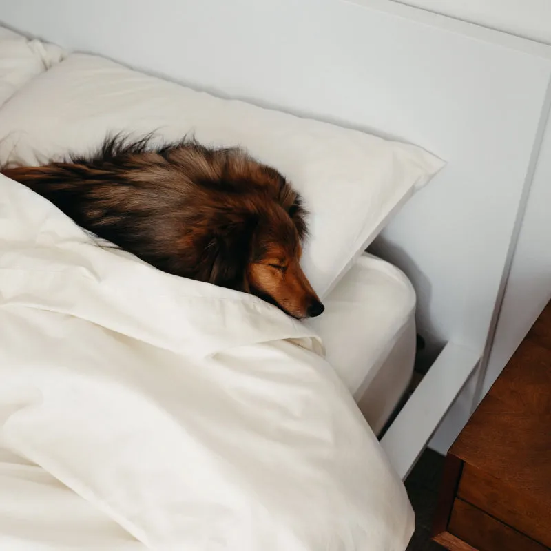 Sateen Dream™ Pillowcases