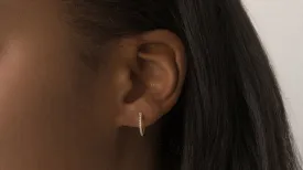 The Huggie Earrings